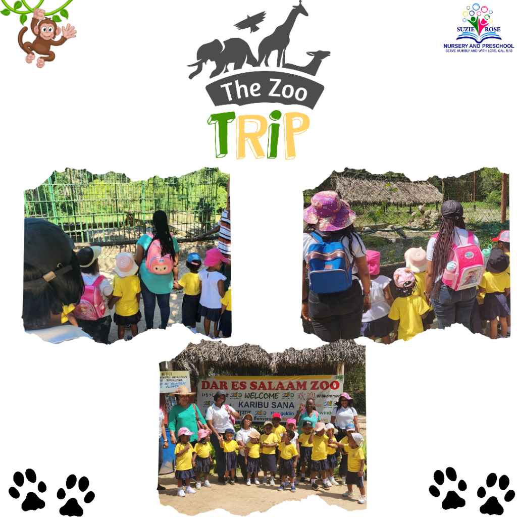 Zoo Trip Website_20250514_151633_0000
