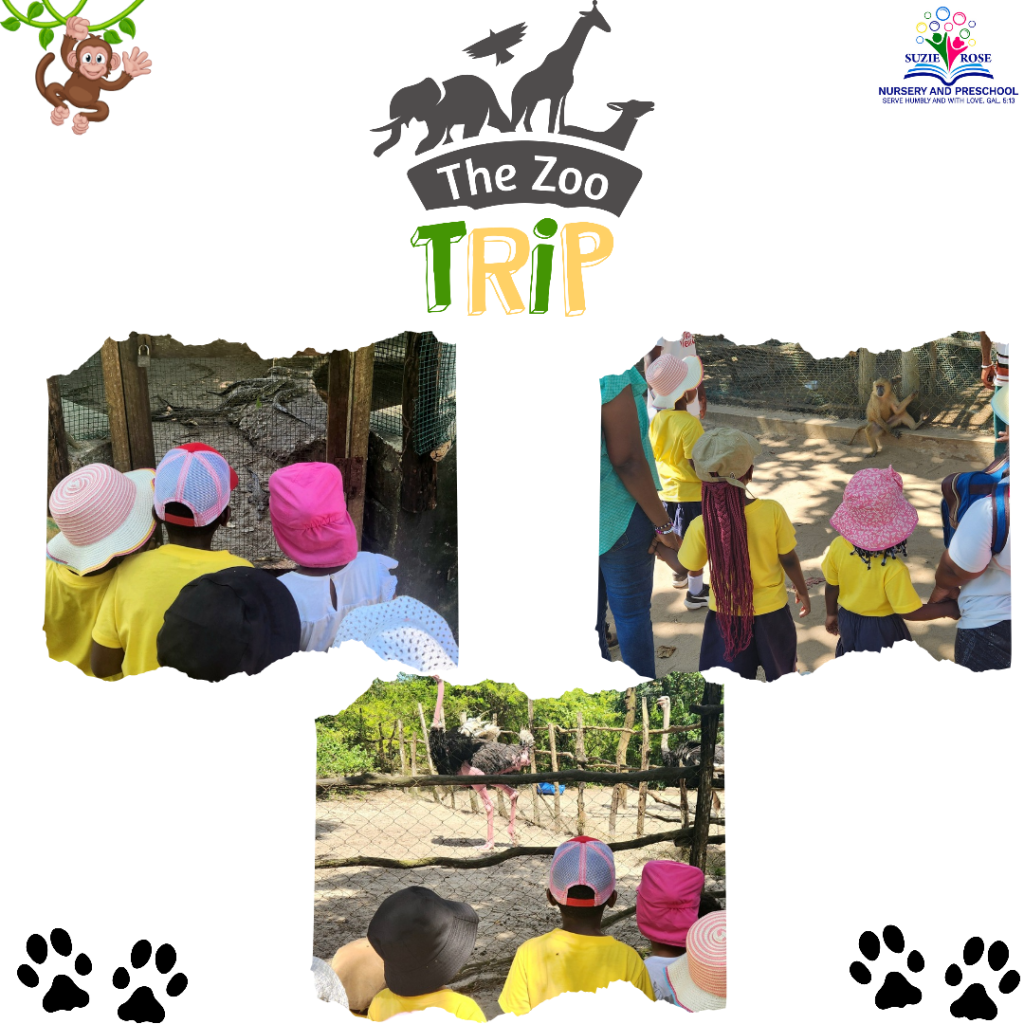 Zoo Trip Website_20250514_151633_0001