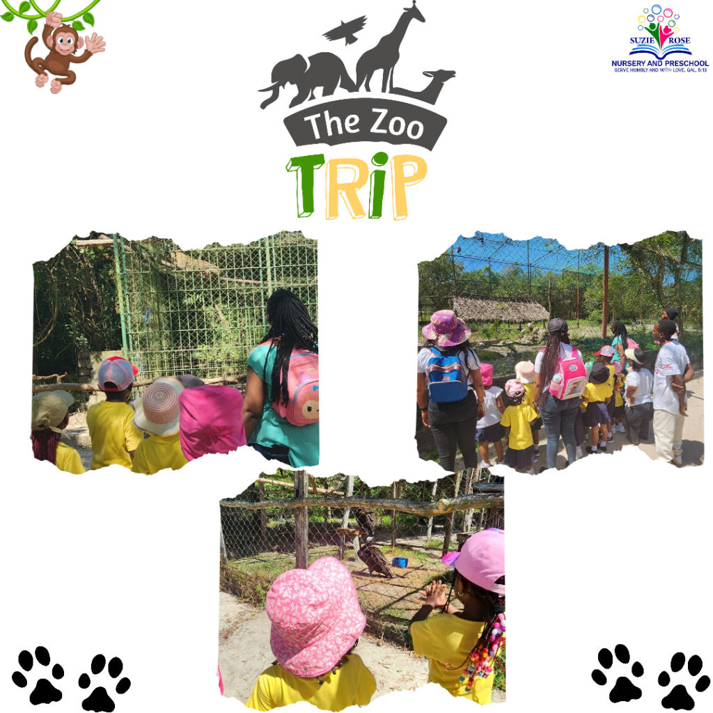 Zoo Trip Website_20250514_151633_0002